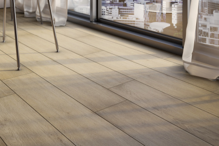 SPC винил Steinholz Ульрих (Ulrich) STH024